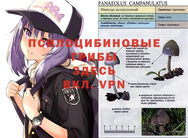 jwh Армянск