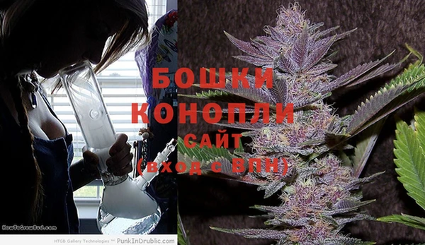 Альфа ПВП Аркадак
