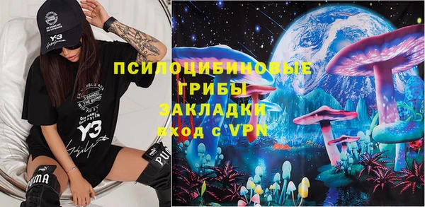 Альфа ПВП Аркадак