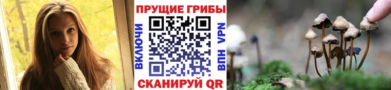 цена наркотик  Муравленко  Галлюциногенные грибы Magic Shrooms 